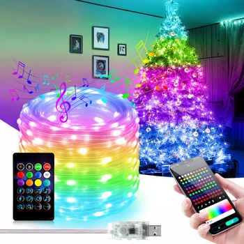 10M 5M Vandeniui Smart Dreamcolor RGBIC Led Pasakų Styginių Šviesos Smart RGBIC Ws2812b Atostogų Apdailos Kalėdų Šviesos 