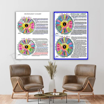 Iridology diagramos meno oftalmologas plakatas sveikatos vertinimas skaityti iris modelis akių
