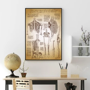 Žmogaus Kūno Medicinos Anatomijos Eskizus Piešimo Leonardo da Vinci Ant Drobės Plakatas Skeletas Tapybos Švietimo Spaudinių Dekoras