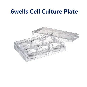 Watson Bio Lab Ląstelių Kultūros Plokštė 6wells 12wells 24wells 48wells Sterilizuotas Naudoti Iki 8 daugiakanalio Pipete Automatinis Dozatorius