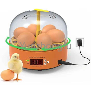 Ančių, Žąsų, Putpelių ParrotIncubator Vištienos Brooder Inkubatorius Perinti Vištienos Paukščių EggsChicken Ūkio Įranga Kiaušinių